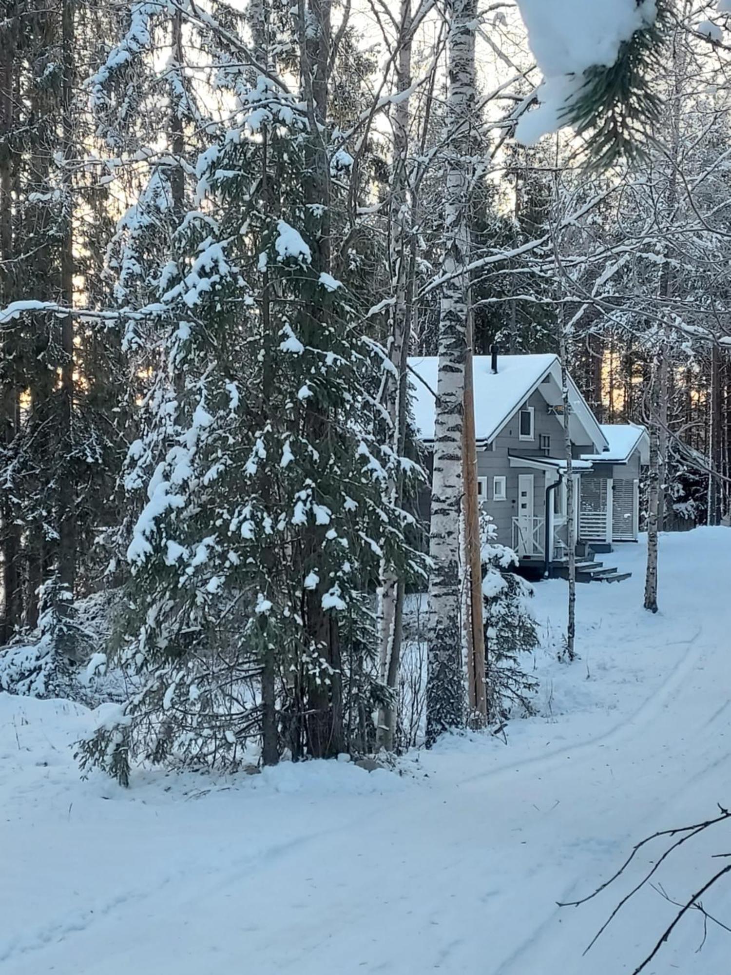 Villa Sirius Sieri, Nice Log-Cottage By The Lake Rovaniemi Exterior photo